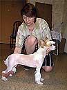 АМБИЦИЯ ВЕРМУТА ИЗ ХАКАССИИ , китайская хохлатая собака. сука - фото май 2008 г.